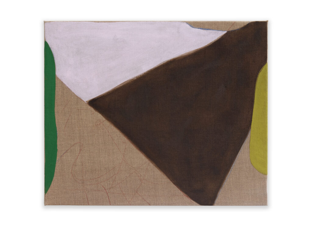 ERTZ (drift), 2021, colour pencil, acrylic and oil paint on linen, 38 x 46 cm (15 x 18.1 in)