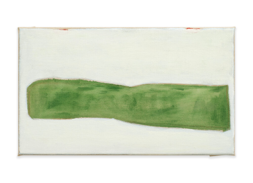 Settled, 2024, acrylic and oil paint on linen, 24 x 41 cm (9.5 x 16.1 in) 